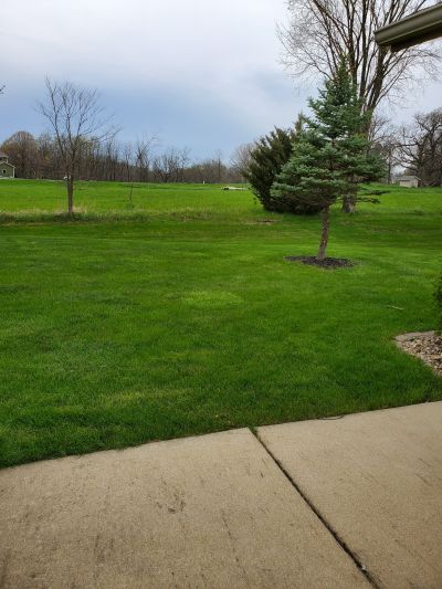 714 Back Yard